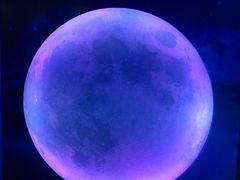 -天津梵高星空艺术馆(天河城旗舰店)
