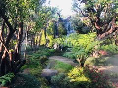 -Chom Cafe and Restaurant