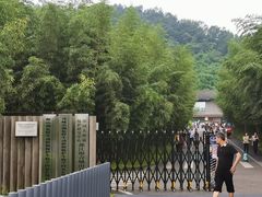-都江堰中华大熊猫苑