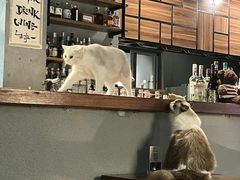 -咖法森林·咖啡  酒吧(天河店)