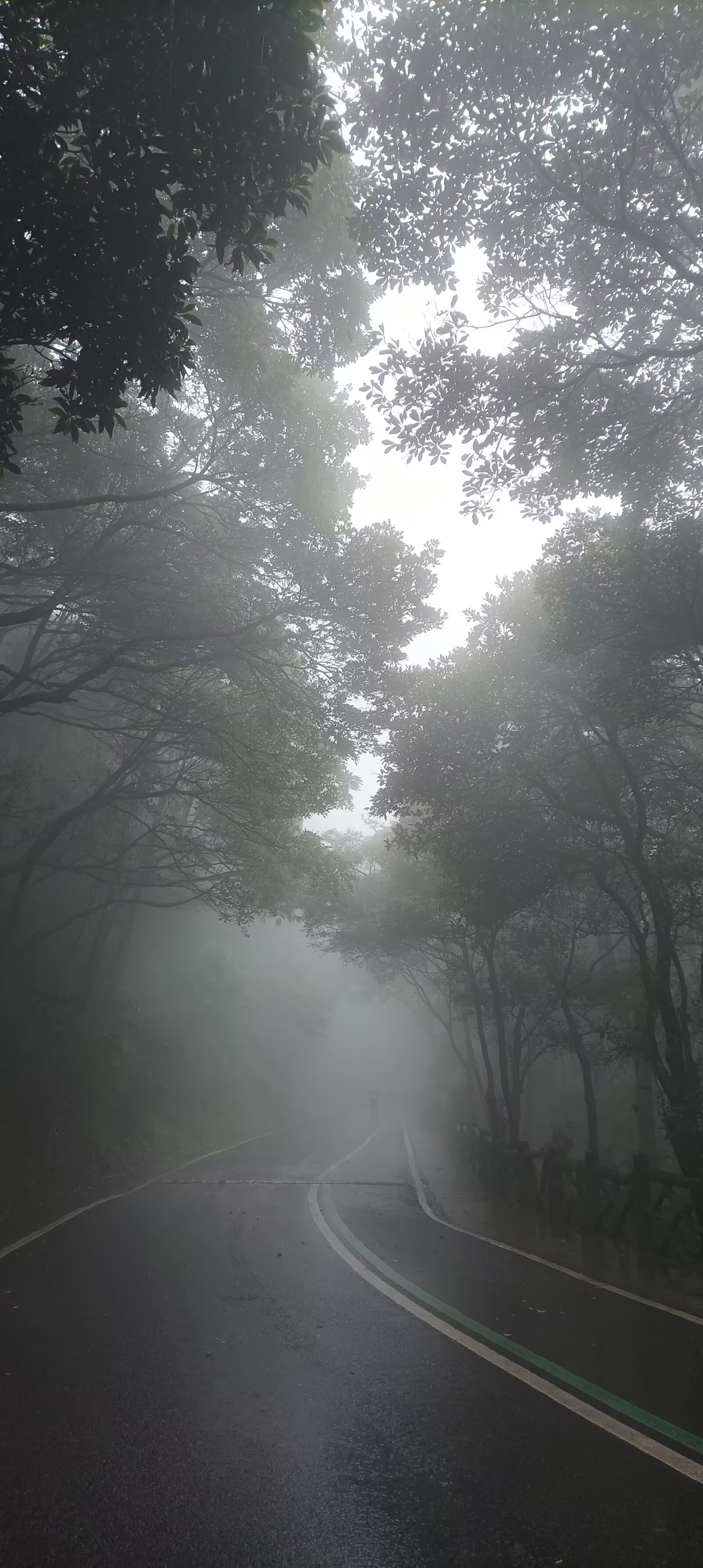 
下雨空气中水分大湿度大,雾蒙蒙