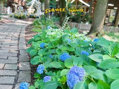 -同里国家湿地公园