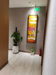 -苑苑vbeauty科技美容SPA