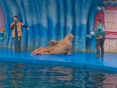 -华夏文旅海洋公园