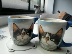 -喵的天空名猫咖啡馆·撸猫·猫舍·用品