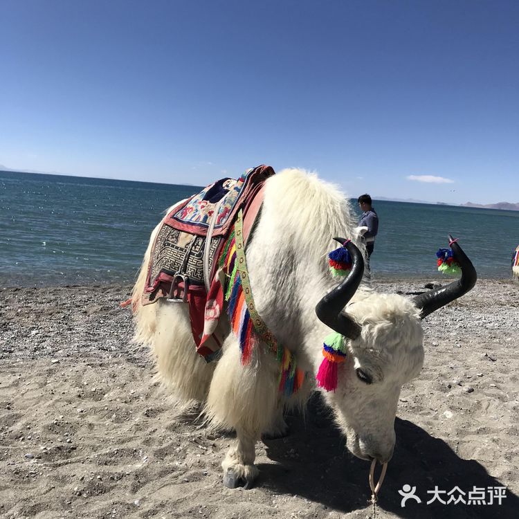 很多人会带上氧气瓶 因为是持续六七个小时都是高海拔