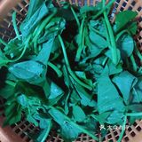 晃晃悠悠家家常菜谱系列之清炒红薯叶