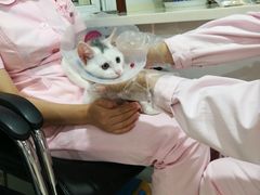 -宠颐生中康贝怡动物医院