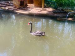 -瑞博尔花园酒店(太周创新产业园店)