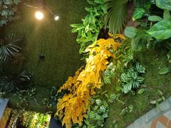 -湘当爱·鲜煮现炒(松岗立业路店)