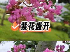 -文华公园(禅城区)