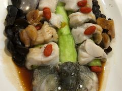 三宝鲈鱼-小桃源酒家(罗湖商业城店)