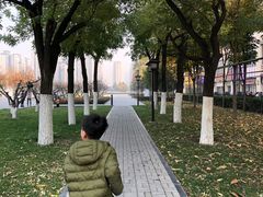 -木塔寺遗址生态公园