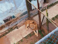 -青藏高原野生动物园