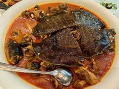 红烧甲鱼-卫鼎轩·家宴(水上公园店)