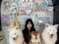 -毛绒耶耶撸宠馆·猫咖·狗咖·荷兰猪咖