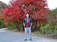 -本溪汤沟绿石谷森林公园
