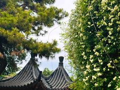 -郑和公园