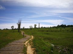 -照金香山旅游景区