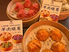 -百彦蒙古包·碳烤羊排·手抓羊肉(万江首店)
