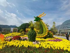 -南山植物园