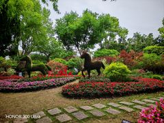 -上海醉白池公园