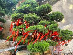 -牛首山文化旅游区