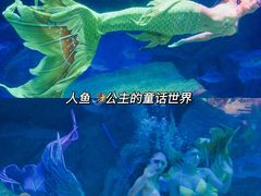 -海合安成都极地海洋公园