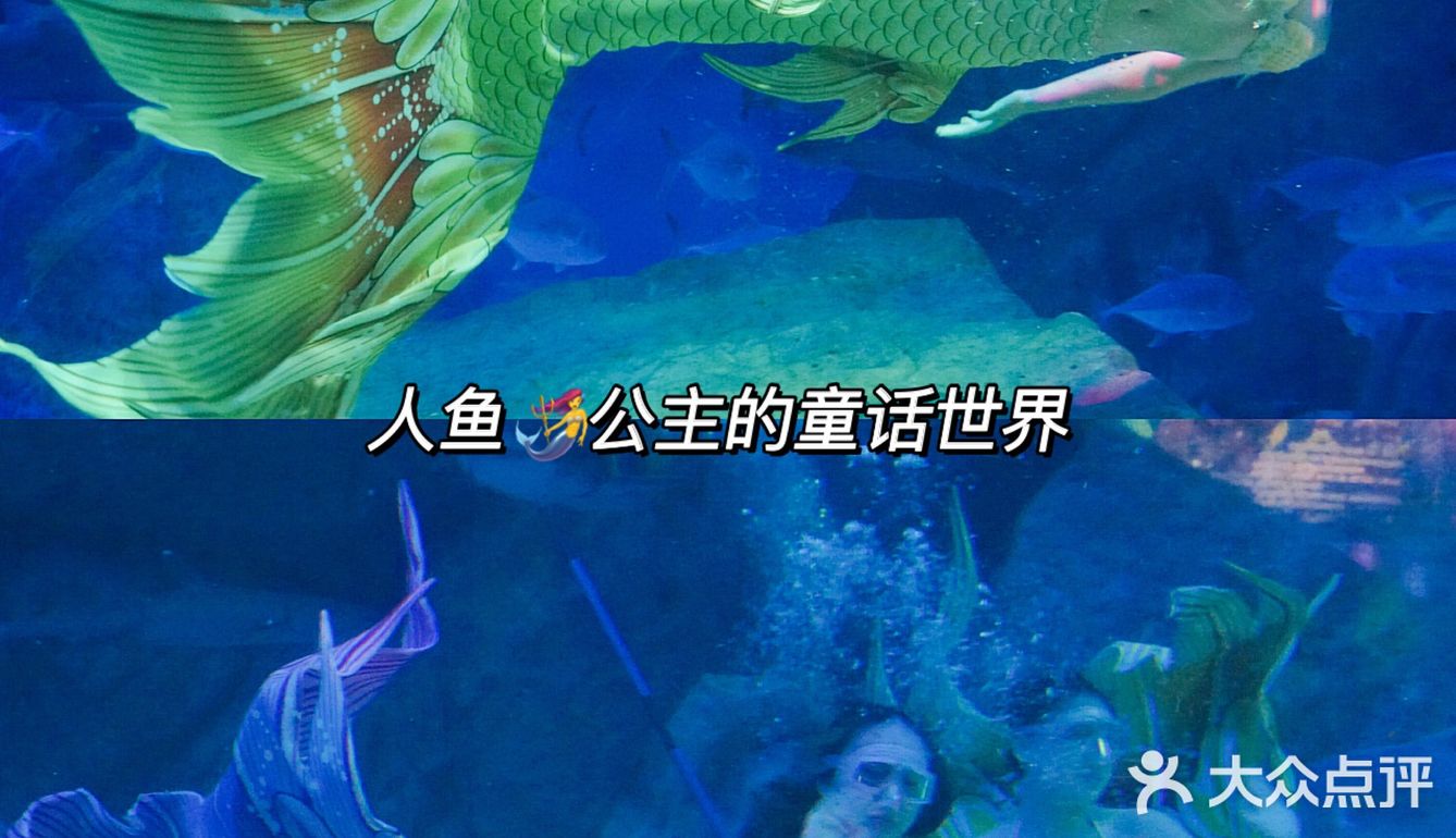 亲子｜成都海昌极地海洋公园不可错过的项目
