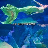 亲子｜成都海昌极地海洋公园不可错过的项目