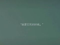 -V SHOW max KTV(粉巷店)