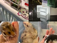 -梦之岛百货(水晶城店)