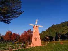 -顺峰山公园