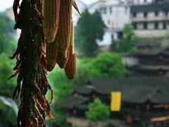 -芙蓉镇景区