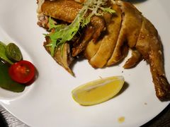 -青叶202都市餐厅(迪诺水镇店)