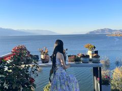 -野菌皇海景野生菌火锅(滨海大道店)