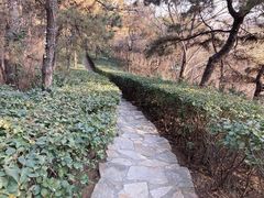 -北京张裕爱斐堡酒庄