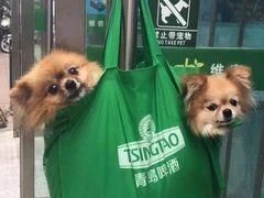 -巴黎贝甜(凯德MALL望京店)