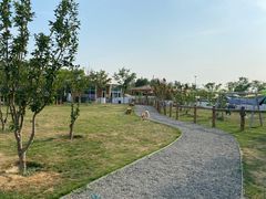 -爪吧宠物乐园·宠物泳池(温榆河示范区店)