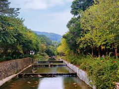 -广州白江湖森林公园