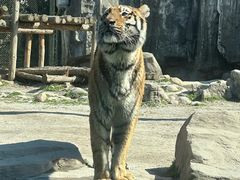 -上海野生动物园