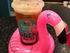 -Flamingo Bloom(TST /尖沙咀店)