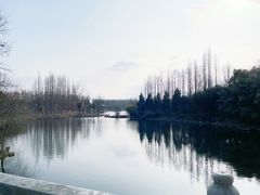 -东平国家森林公园