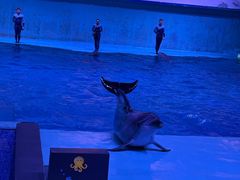 -南昌融创海世界