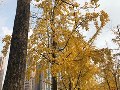 -高庙村(地铁站)