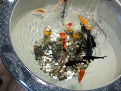 -山南熏肉大饼(辽菜旗舰店)