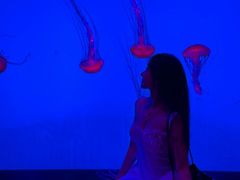 -沈阳海洋探索中心