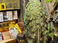 -牧雲子·臻选云南菜 .商务宴请(泰然大厦店)