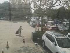 -野生动物园-停车场
