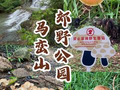 -马峦山郊野公园